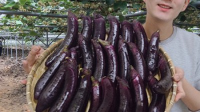 🍆 쫀득함에 반해버린! 가지말림 솔직 후기 & 할인 꿀팁 大방출! 😋
