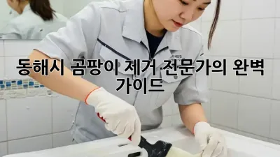 동해시 곰팡이 제거 전문가의 완벽 가이드