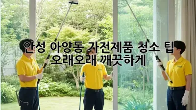 안성 아양동 가전제품 청소 팁: 오래오래 깨끗하게!
