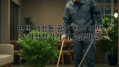 평택 서정동 공기 청소, 어떤 공기청정기가 최고일까요?